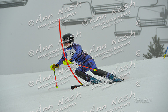 alpine-Jan20-2017-DSC_2945
