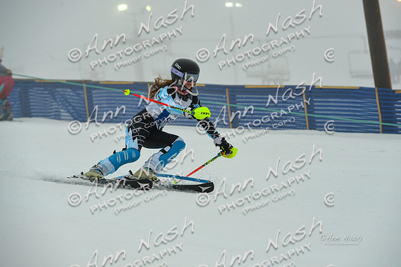 alpine-Jan20-2017-DSC_2953