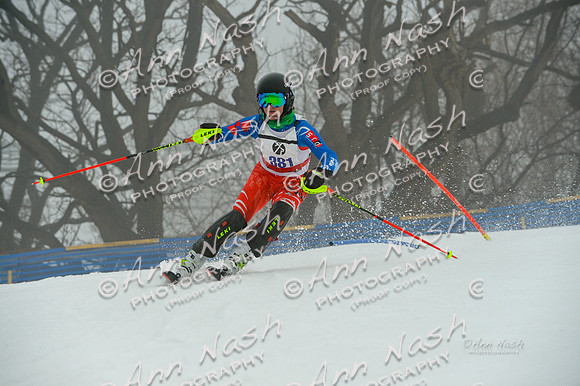 alpine-Jan20-2017-DSC_2981