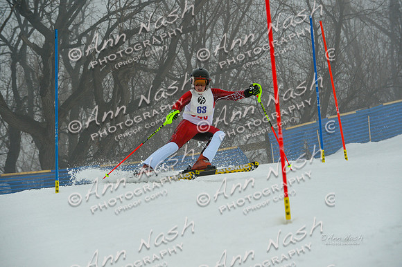 alpine-Jan20-2017-DSC_3143