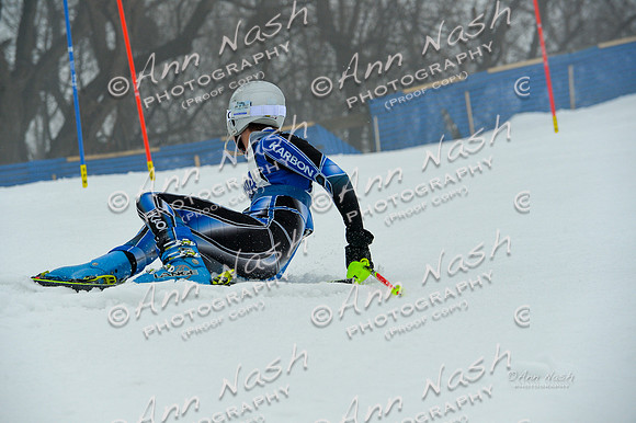 alpine-Jan20-2017-DSC_3498
