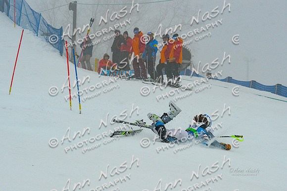 alpine-Jan20-2017-DSC_3520