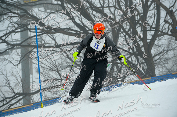 alpine-Jan20-2017-DSC_3572