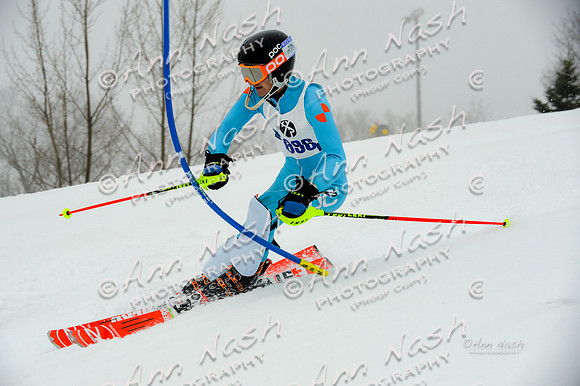 alpine-Jan20-2017-DSC_3788