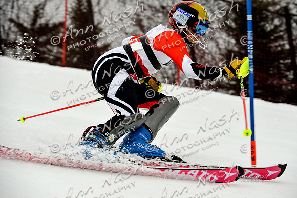 alpine-Jan20-2017-DSC_3934