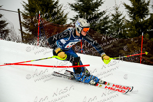 alpine-Jan20-2017-DSC_4016