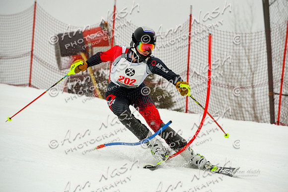 alpine-Jan20-2017-DSC_4268