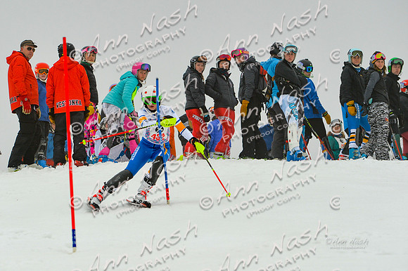 alpine-Jan20-2017-DSC_4445