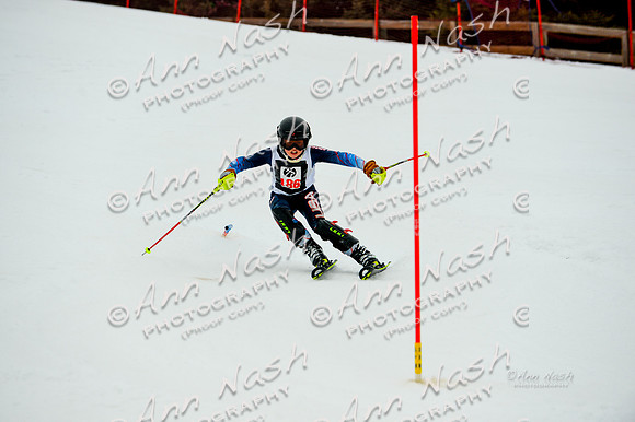 alpine-Jan20-2017-DSC_5362