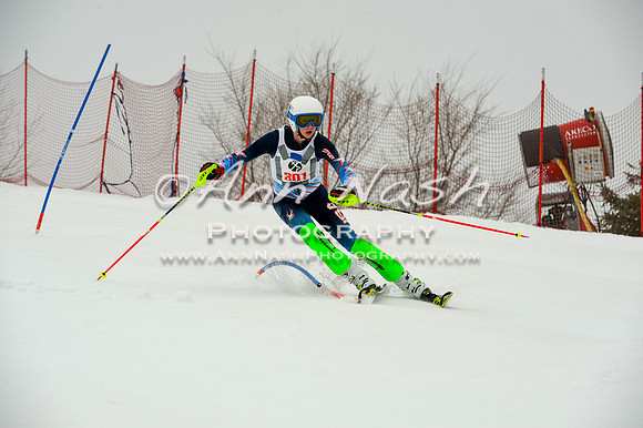 alpine-Jan20-2017-DSC_3869