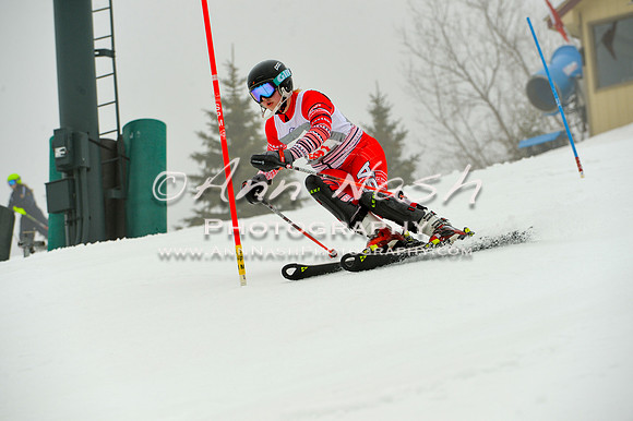 alpine-Jan20-2017-DSC_3873