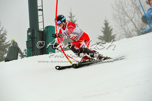 alpine-Jan20-2017-DSC_3874