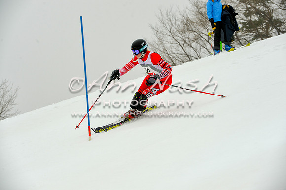 alpine-Jan20-2017-DSC_3875