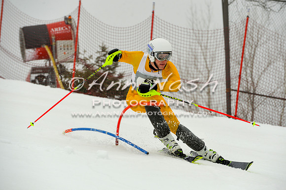 alpine-Jan20-2017-DSC_3876