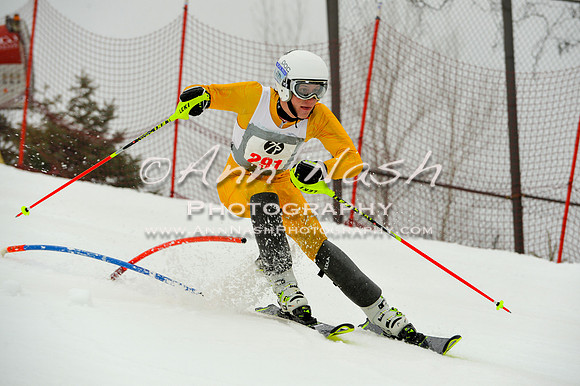 alpine-Jan20-2017-DSC_3877