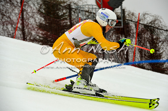 alpine-Jan20-2017-DSC_3879