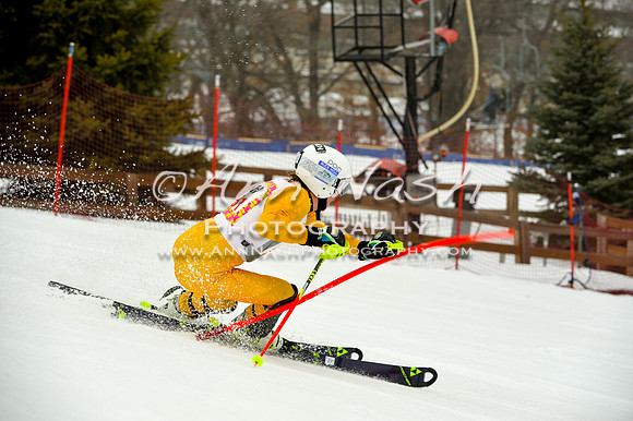 alpine-Jan20-2017-DSC_3880