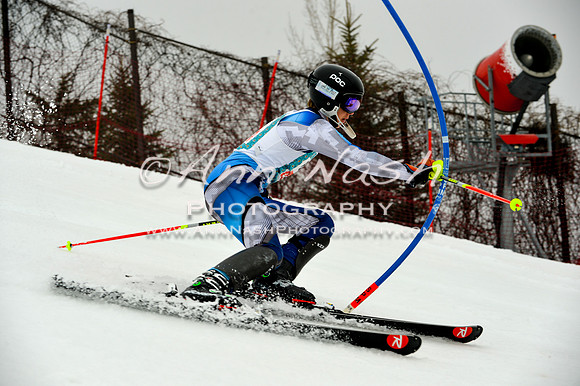alpine-Jan20-2017-DSC_3889