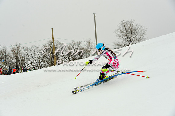 alpine-Jan20-2017-DSC_3897