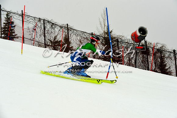 alpine-Jan20-2017-DSC_3903