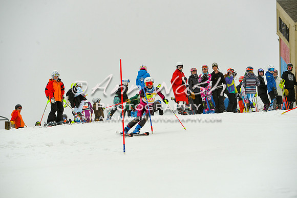 alpine-Jan20-2017-DSC_3906