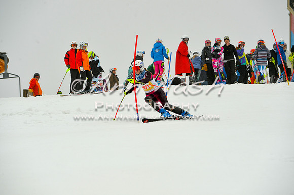 alpine-Jan20-2017-DSC_3908
