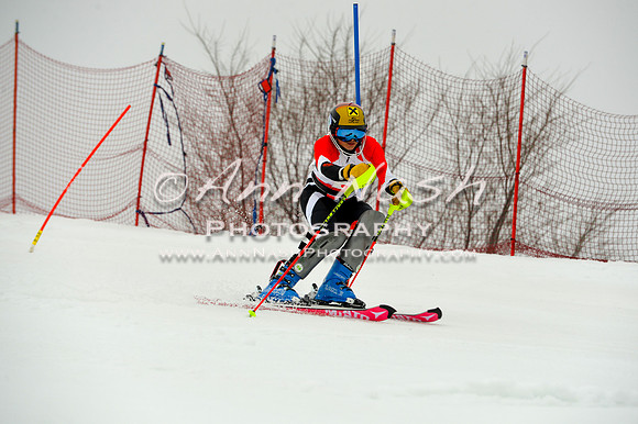 alpine-Jan20-2017-DSC_3928