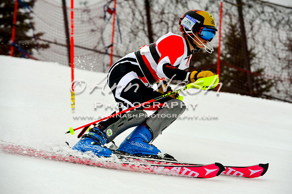 alpine-Jan20-2017-DSC_3933