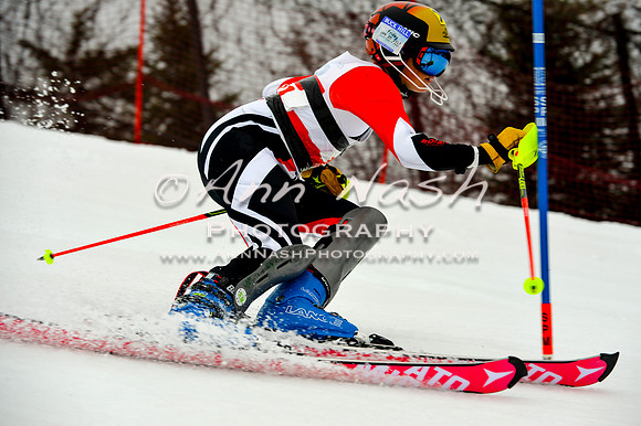 alpine-Jan20-2017-DSC_3934