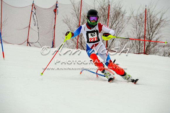 alpine-Jan20-2017-DSC_3938