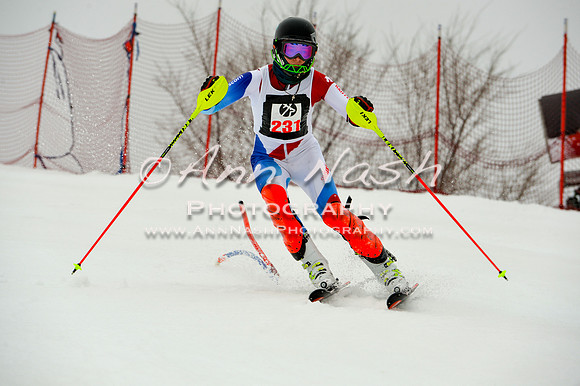 alpine-Jan20-2017-DSC_3939