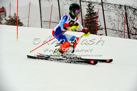 alpine-Jan20-2017-DSC_3941
