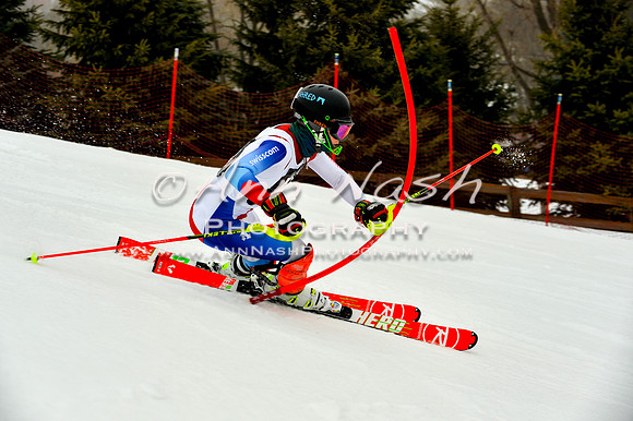 alpine-Jan20-2017-DSC_3942