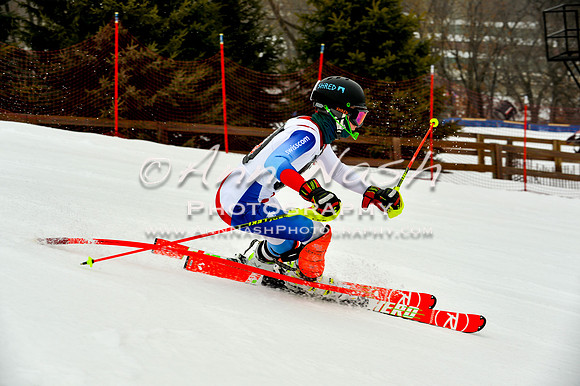 alpine-Jan20-2017-DSC_3943