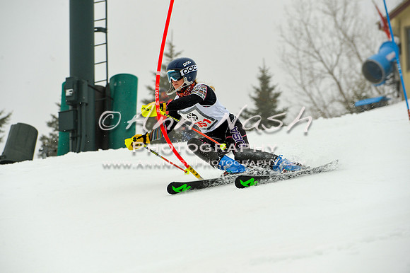 alpine-Jan20-2017-DSC_3947