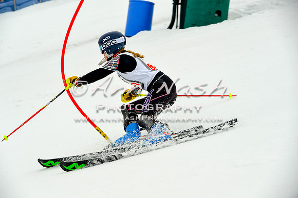 alpine-Jan20-2017-DSC_3950