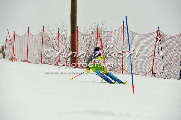 alpine-Jan20-2017-DSC_3952