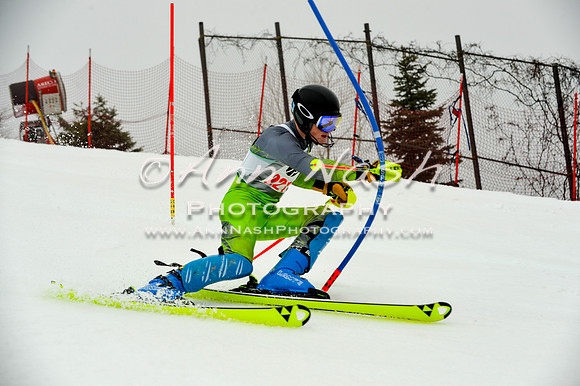 alpine-Jan20-2017-DSC_3959