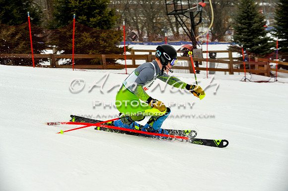alpine-Jan20-2017-DSC_3961