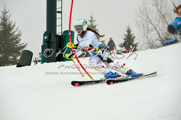 alpine-Jan20-2017-DSC_3963