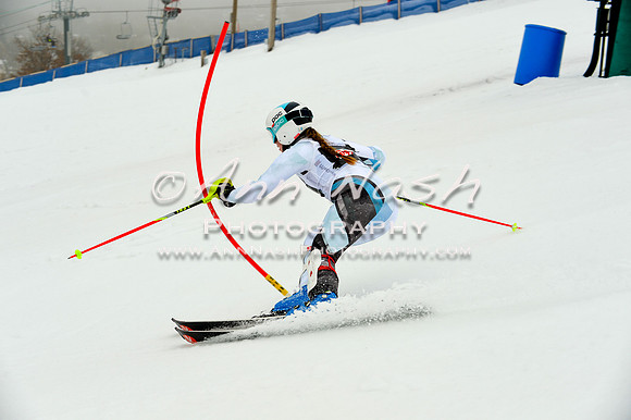 alpine-Jan20-2017-DSC_3966