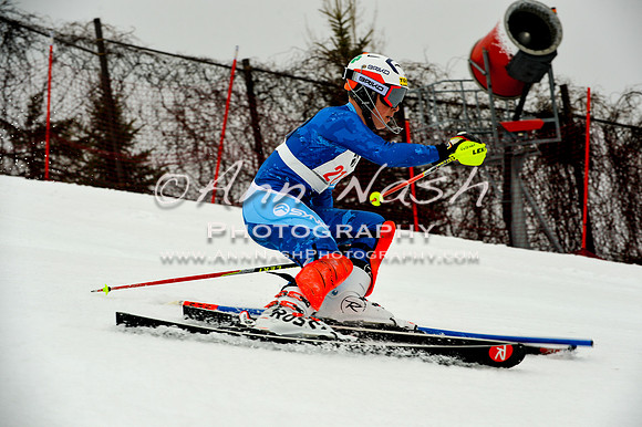alpine-Jan20-2017-DSC_3974