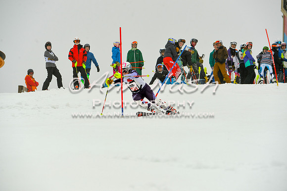alpine-Jan20-2017-DSC_3979