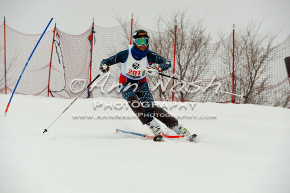 alpine-Jan20-2017-DSC_3991