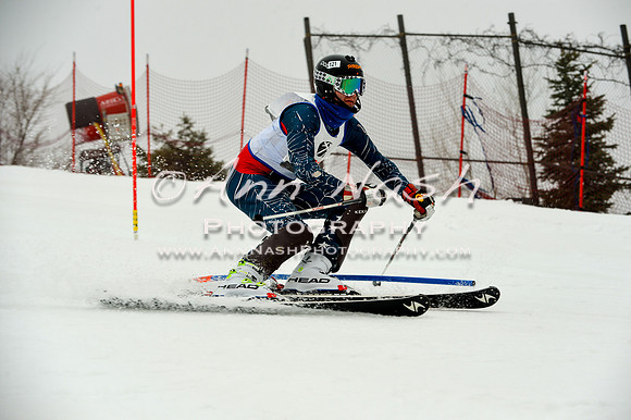 alpine-Jan20-2017-DSC_3993