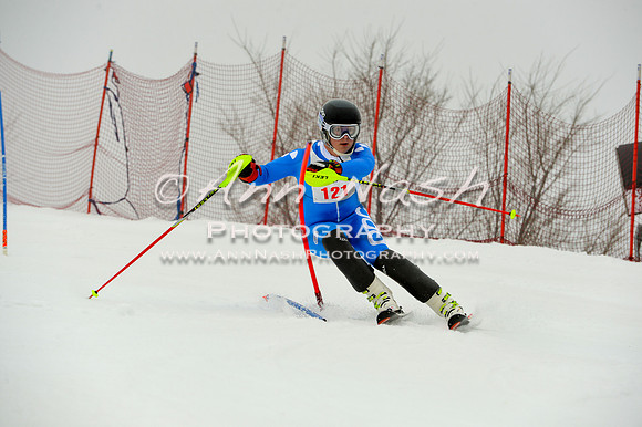 alpine-Jan20-2017-DSC_3998