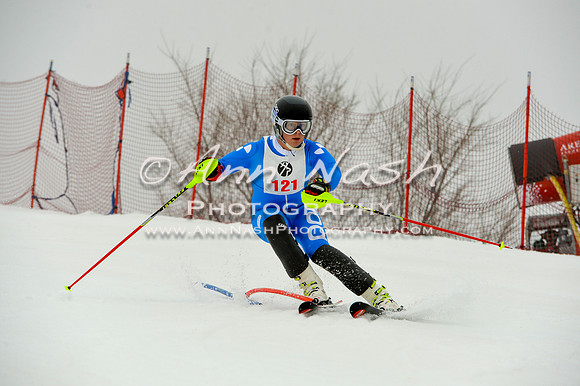 alpine-Jan20-2017-DSC_3999