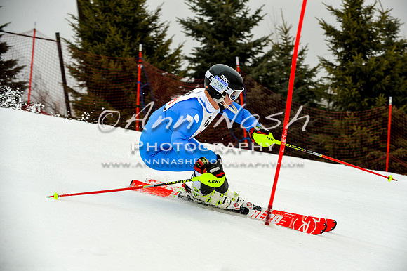 alpine-Jan20-2017-DSC_4002