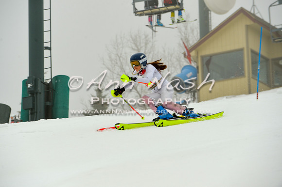 alpine-Jan20-2017-DSC_4006
