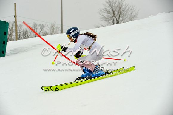 alpine-Jan20-2017-DSC_4009